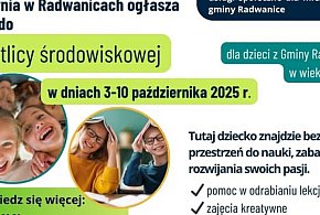 Nabór do świetlicy środowiskowej w Radwanicach-174744