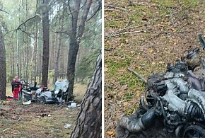Tragedia na drodze! Auto uderzyło w drzewo, kierowca nie żyje-174819