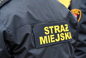 Zapuka strażnik, zapłacisz karę. Ruszyły kontrole w całej Polsce-175043