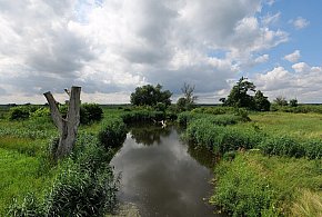 Co dalej z nowym parkiem narodowym? Minister klimatu zdradza plan po wecie-176648