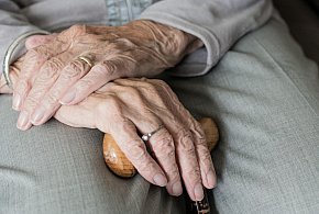 Te osoby dostaną dwie emerytury w grudniu. ZUS przesuwa przelewy-177312