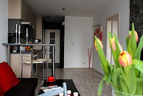 Rewolucja w wynajmie na doby. Nadchodzi koniec "wolnej amerykanki"-177931