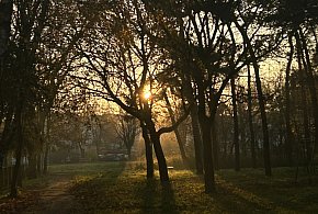 Nadchodzi najkrótszy dzień w 2025 roku. Sprawdź, kiedy przypadnie-178747