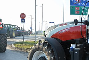 Rolnicy zapowiadają protest w całym kraju. Skala może zaskoczyć-179122