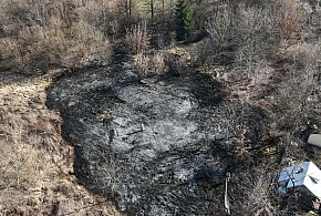 Dym nad działkami w Głogowie. Strażacy interweniowali