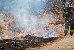 Pożar w Grodźcu Małym. Strażacy walczą z plagą pod Głogowem