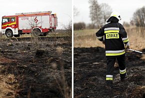 [FOTO] Ogień tuż przy drodze. Strażacy: to było podpalenie