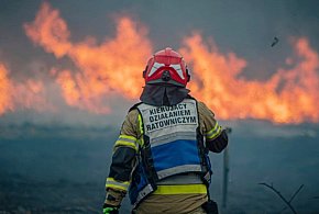 Tu musi grasować podpalacz. Ciągle płoną trzcinowiska w Przemkowie [FOTO]