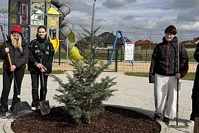 Nowa jodła kalifornijska w Nielubi – centrum świątecznych spotkań mieszkańców