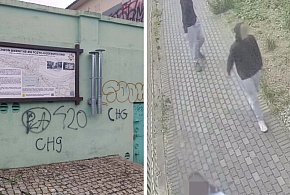 Skandal w Głogowie! Młodzi wandale zniszczyli zabytki, kamery ich uchwyciły