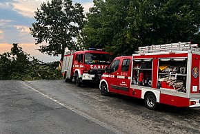 [FOTO] Grad, wichura i zalane posesje. Mieszkańcy: W moment było czarno