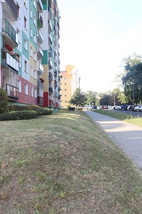 Koszenie na Poczdamskiej-8025