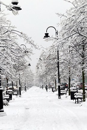 Zima w Głogowie! Ale zrobiło się biało-8515