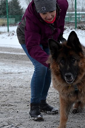 Sylwester w azylu Amicusa w Głogowie-8732