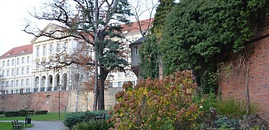 W fosie w Głogowie piękna jesień, a szykują się duże zmiany [FOTO]-176759