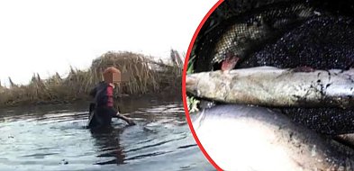 Kłusownicy zatrzymani na gorącym uczynku jak kradli karpie-178584