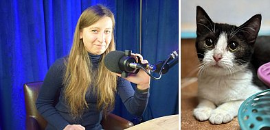 Darmowe czipowanie w Głogowie, bo niedługo Dzień Kota. Jagoda zaprasza