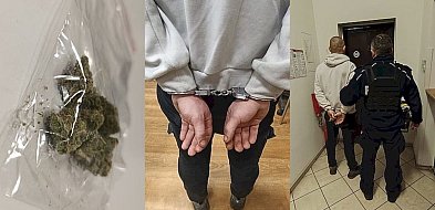 Za narkotyki przed głogowskim sądem. Posiadał ziele konopi