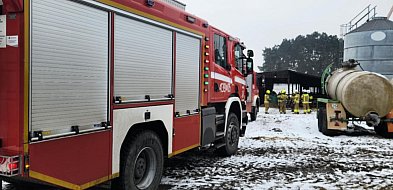 Niecodzienna akcja strażaków. Psy uwięzione w podajniku do zboża