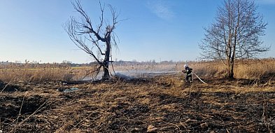 Pożary w Głogowie i Przedmościu. Ruszył sezon na płonące trawy