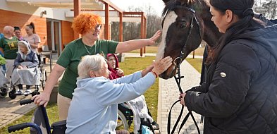 Dotknąć konia w głogowskim hospicjum. Niecodzienna i wzruszająca wizyta [FOTO]