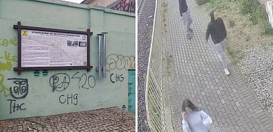 Skandal w Głogowie! Młodzi wandale zniszczyli zabytki, kamery ich uchwyciły