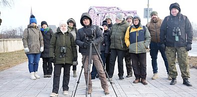 Wyruszyli w niedzielę, by obserwować ptaki. One żyją z nami w Głogowie