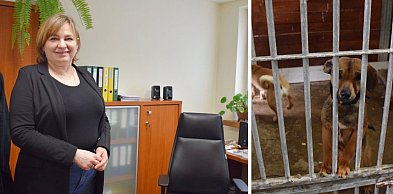 Trzy kontrole w jednym schronisku w Głogowie! Co wykazały inspekcje? [WIDEO]