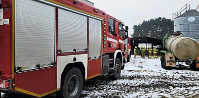 Niecodzienna akcja strażaków. Psy całe i zdrowe
