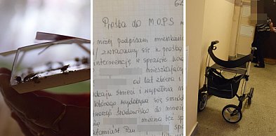 Koszmar mieszkańców bloku przy Sienkiewicza w Głogowie. Boją się sąsiadów!