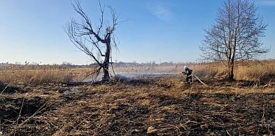 Pożary w Głogowie i Przedmościu. Ruszył sezon na płonące trawy