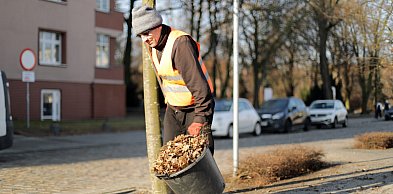 [FOTO] Ruszyło wiosenne sprzątanie w Głogowie. Al. Wolności już lśni