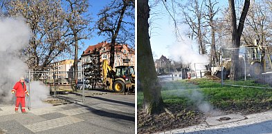 Dymy nad parkiem w centrum Głogowa. WPEC szuka miejsca awarii