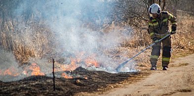 Pożar w Grodźcu Małym. Strażacy walczą z plagą pod Głogowem