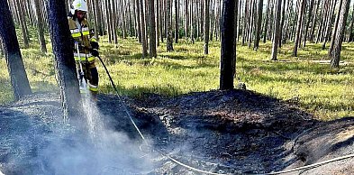 Nielegalne wysypisko w ogniu. Takie rzeczy pod Przemkowem