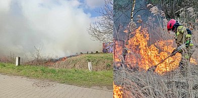 Paliło się przy torach w Głogowie. Musieli wstrzymać pociągi