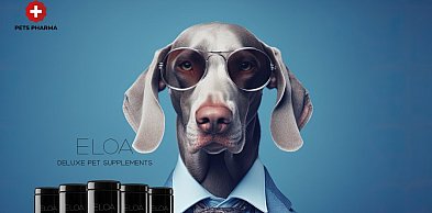 Suplementy dla psa - jak wspierać zdrowie psa przez cały rok?