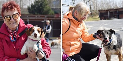 [FOTO] Wzruszająca akcja w schronisku dla zwierząt pod Głogowem
