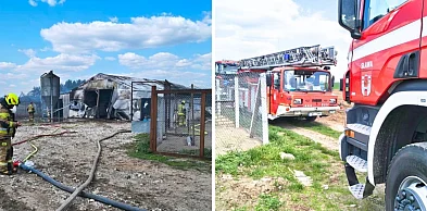 Kurom się upiekło. Znamy finał wielkiego pożaru