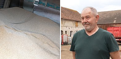 [WIDEO] Dramat na wsiach! Rolnicy: Zboże zalega, magazyny pełne