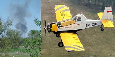 Pożar lasu w Wojszynie. Trwa akcja gaśnicza z powietrza i ziemi