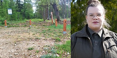 Parking w lesie okradziony. Sprawa trafi pod lupę kamer