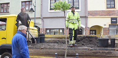 Zielona zmiana na Starym Mieście w Głogowie. Grodzka będzie bardziej kolorowa