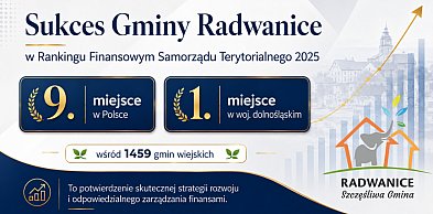 Gmina Radwanice w krajowej czołówce. Samorząd liderem finansów publicznych