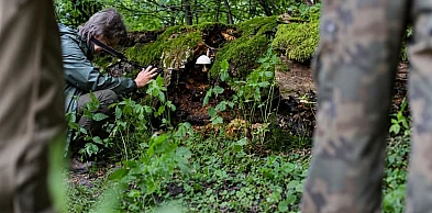 Noc z wilkami pod Głogowem. Takie emocje na specjalne życzenie