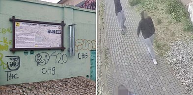 Skandal w Głogowie! Młodzi wandale zniszczyli zabytki, kamery ich uchwyciły