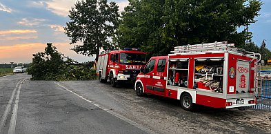 [FOTO] Grad, wichura i zalane posesje. Mieszkańcy: W moment było czarno