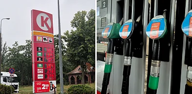 Koniec taniego tankowania! Zubowski: To uderzy w kierowców i rolników