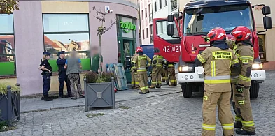 Strażacy ratowali Żabkę na głogowskim rynku. Znamy przyczynę akcji! [FOTO]-173891