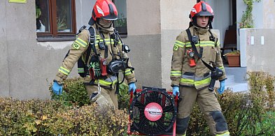 Akcja strażaków na Wałach Chrobrego w Głogowie. Znów groźna pralka [FOTO]-175551